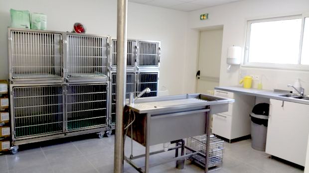 Deux salles d’hospitalisation dont une pour les animaux contagieux