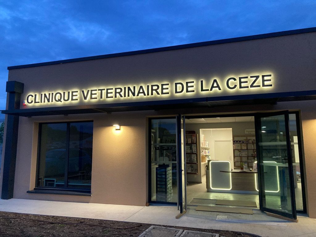 La clinique vétérinaire